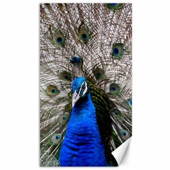 Peacock Bird Animal Feather Nature Colorful Canvas 40  X 72  by Ravend