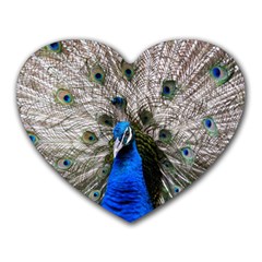 Peacock Bird Animal Feather Nature Colorful Heart Mousepad by Ravend