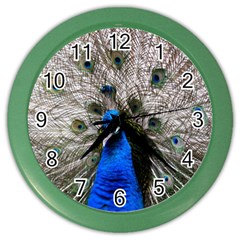 Peacock Bird Animal Feather Nature Colorful Color Wall Clock by Ravend