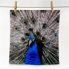 Peacock Bird Animal Feather Nature Colorful Face Towel by Ravend