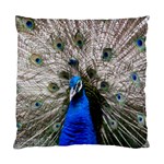 Peacock Bird Animal Feather Nature Colorful Standard Cushion Case (Two Sides) Front