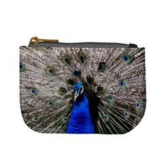 Peacock Bird Animal Feather Nature Colorful Mini Coin Purse by Ravend