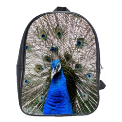 Peacock Bird Animal Feather Nature Colorful School Bag (large) by Ravend