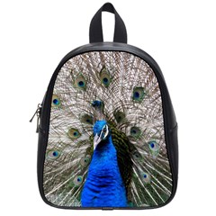 Peacock Bird Animal Feather Nature Colorful School Bag (small) by Ravend