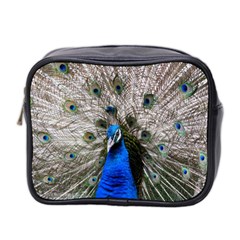 Peacock Bird Animal Feather Nature Colorful Mini Toiletries Bag (two Sides) by Ravend