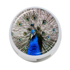 Peacock Bird Animal Feather Nature Colorful 4-port Usb Hub (two Sides) by Ravend