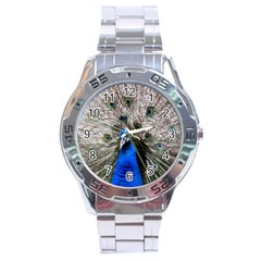 Peacock Bird Animal Feather Nature Colorful Stainless Steel Analogue Watch by Ravend