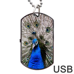 Peacock Bird Animal Feather Nature Colorful Dog Tag Usb Flash (two Sides) by Ravend