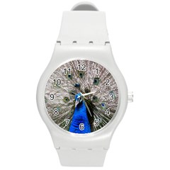 Peacock Bird Animal Feather Nature Colorful Round Plastic Sport Watch (m) by Ravend