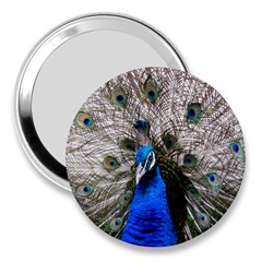 Peacock Bird Animal Feather Nature Colorful 3  Handbag Mirrors by Ravend