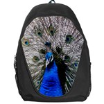 Peacock Bird Animal Feather Nature Colorful Backpack Bag Front