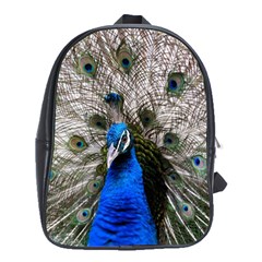 Peacock Bird Animal Feather Nature Colorful School Bag (xl) by Ravend