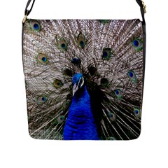 Peacock Bird Animal Feather Nature Colorful Flap Closure Messenger Bag (l) by Ravend