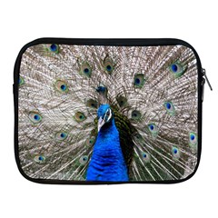 Peacock Bird Animal Feather Nature Colorful Apple Ipad 2/3/4 Zipper Cases by Ravend