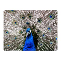 Peacock Bird Animal Feather Nature Colorful Premium Plush Fleece Blanket (mini) by Ravend