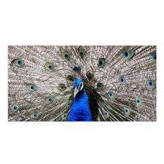 Peacock Bird Animal Feather Nature Colorful Satin Shawl 45  X 80  by Ravend