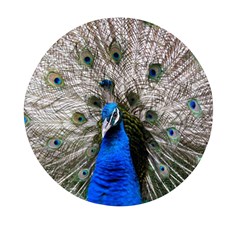 Peacock Bird Animal Feather Nature Colorful Mini Round Pill Box by Ravend