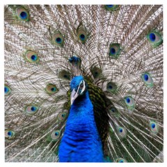 Peacock Bird Animal Feather Nature Colorful Wooden Puzzle Square by Ravend