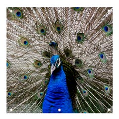 Peacock Bird Animal Feather Nature Colorful Banner And Sign 4  X 4  by Ravend