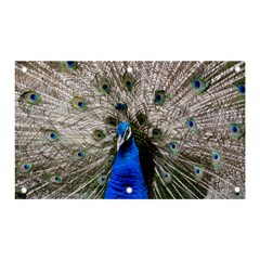 Peacock Bird Animal Feather Nature Colorful Banner And Sign 5  X 3  by Ravend