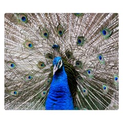 Peacock Bird Animal Feather Nature Colorful One Side Premium Plush Fleece Blanket (small) by Ravend