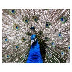 Peacock Bird Animal Feather Nature Colorful One Side Premium Plush Fleece Blanket (medium) by Ravend