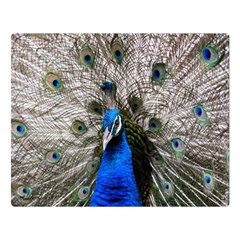 Peacock Bird Animal Feather Nature Colorful One Side Premium Plush Fleece Blanket (large) by Ravend