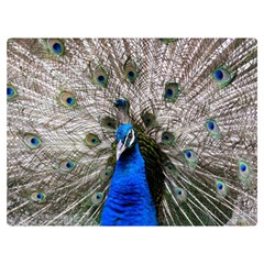 Peacock Bird Animal Feather Nature Colorful One Side Premium Plush Fleece Blanket (extra Small) by Ravend