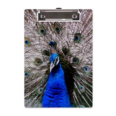 Peacock Bird Animal Feather Nature Colorful A5 Acrylic Clipboard