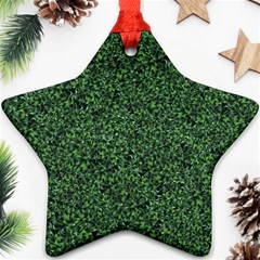 Leafy Elegance Botanical Pattern Ornament (star) by dflcprintsclothing