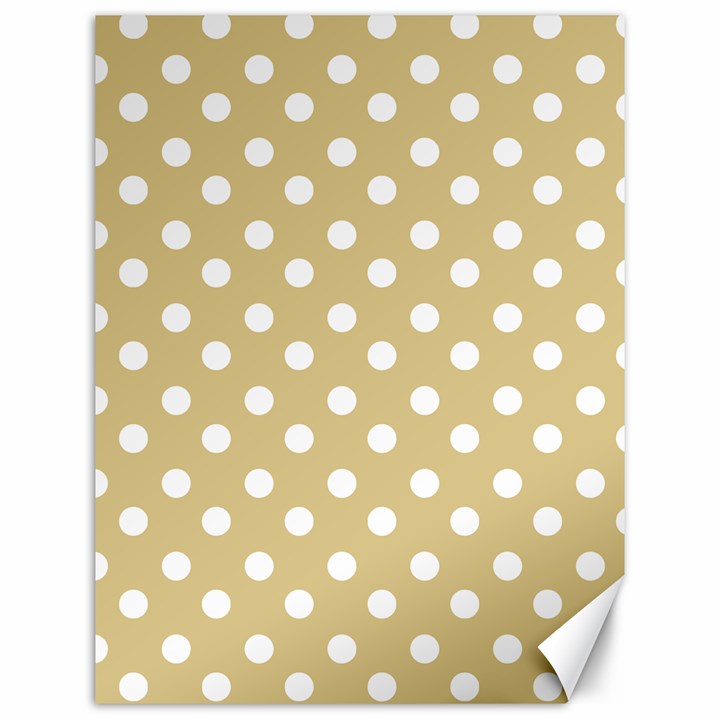 Mint Polka And White Polka Dots Canvas 12  x 16 