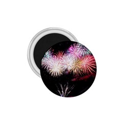 Firework 1 75  Magnets by artworkshop