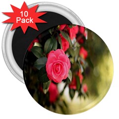 Flower 3  Magnets (10 Pack)  by artworkshop