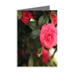 Flower Mini Greeting Cards (Pkg of 8) Right