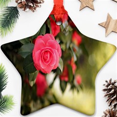 Flower Star Ornament (two Sides)