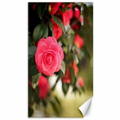 Flower Canvas 40  X 72 