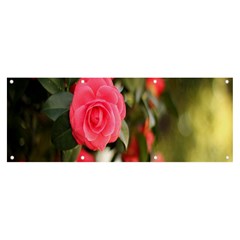 Flower Banner And Sign 8  X 3  by artworkshop