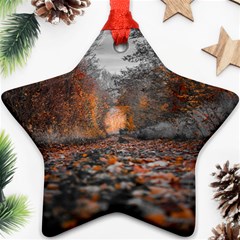 Breathe In Nature Background Star Ornament (two Sides)