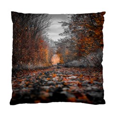 Breathe In Nature Background Standard Cushion Case (one Side) by artworkshop