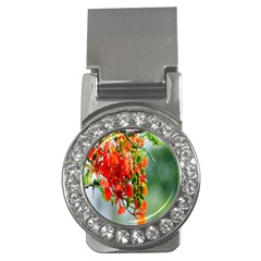 Gathering Sping Flowers Wallpapers Money Clips (cz) 