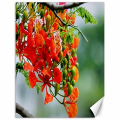 Gathering Sping Flowers Wallpapers Canvas 12  X 16  by artworkshop