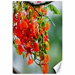 Gathering Sping Flowers Wallpapers Canvas 12  x 18  11.88 x17.36  Canvas - 1