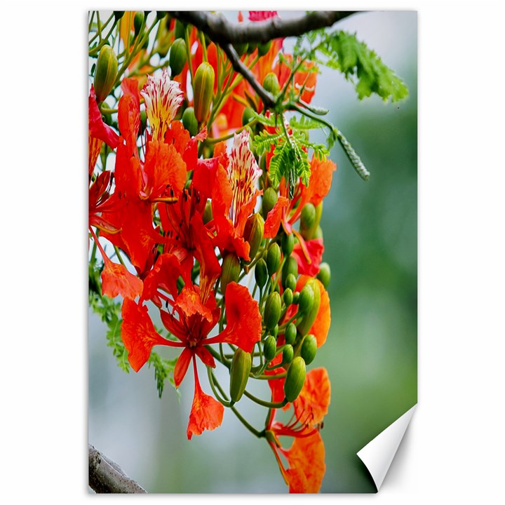 Gathering Sping Flowers Wallpapers Canvas 12  x 18 