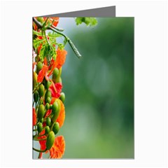 Gathering Sping Flowers Wallpapers Greeting Cards (pkg Of 8) by artworkshop