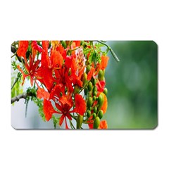 Gathering Sping Flowers Wallpapers Magnet (rectangular) by artworkshop