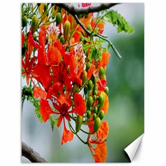 Gathering Sping Flowers Wallpapers Canvas 18  X 24  by artworkshop