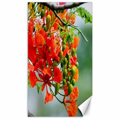 Gathering Sping Flowers Wallpapers Canvas 40  X 72 