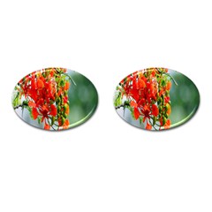 Gathering Sping Flowers Wallpapers Cufflinks (oval)