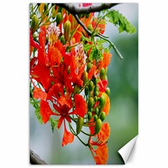 Gathering Sping Flowers Wallpapers Canvas 24  X 36  by artworkshop