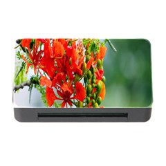 Gathering Sping Flowers Wallpapers Memory Card Reader With Cf by artworkshop